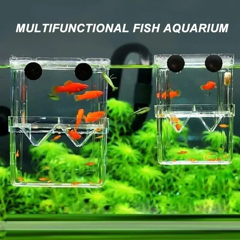Betta Fish Tank - Aquarium Acryl Fisch Zucht Isolation Box