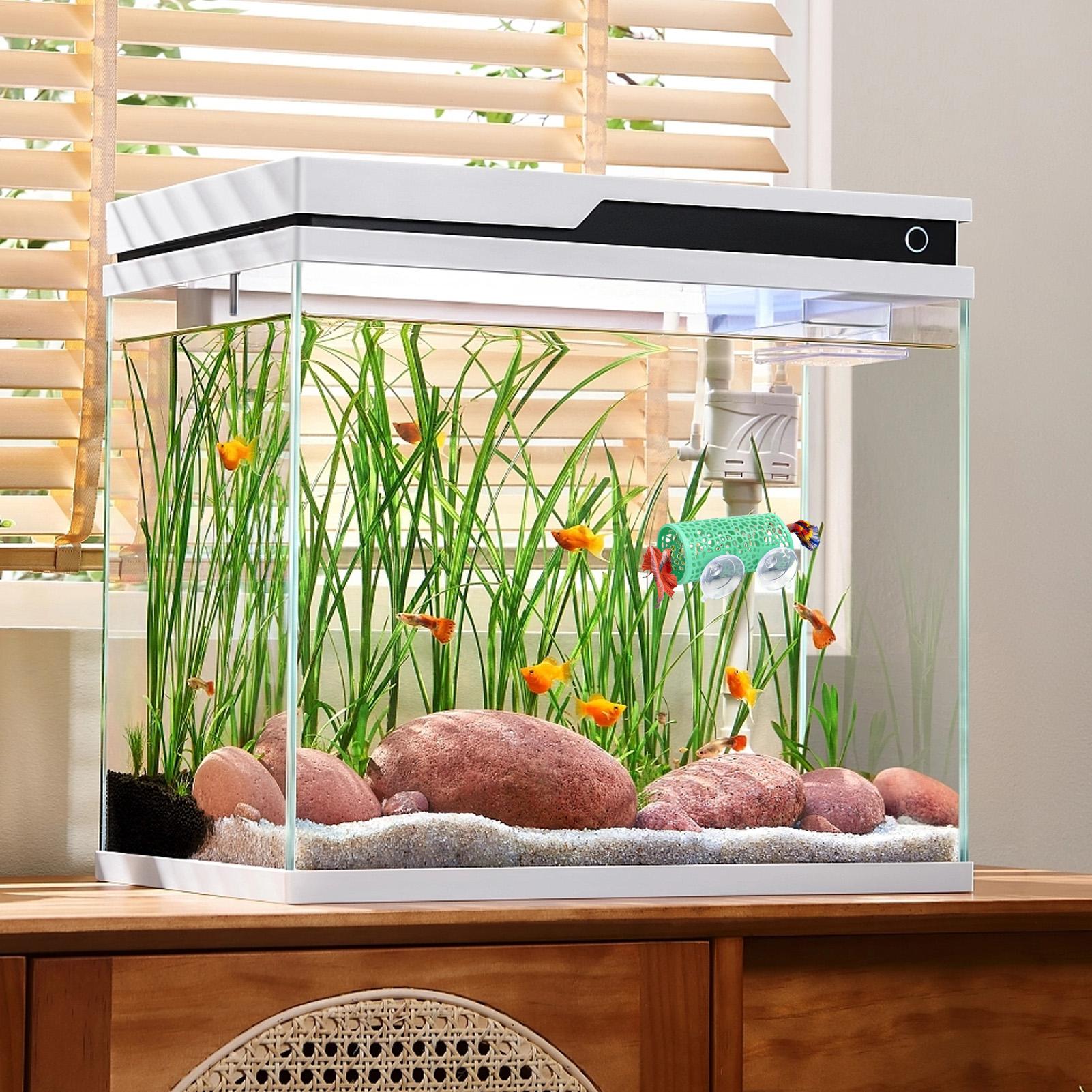 Betta-Habitat, Ruheplatz, Orna – Betta Fish Tank Bewertung und Preis