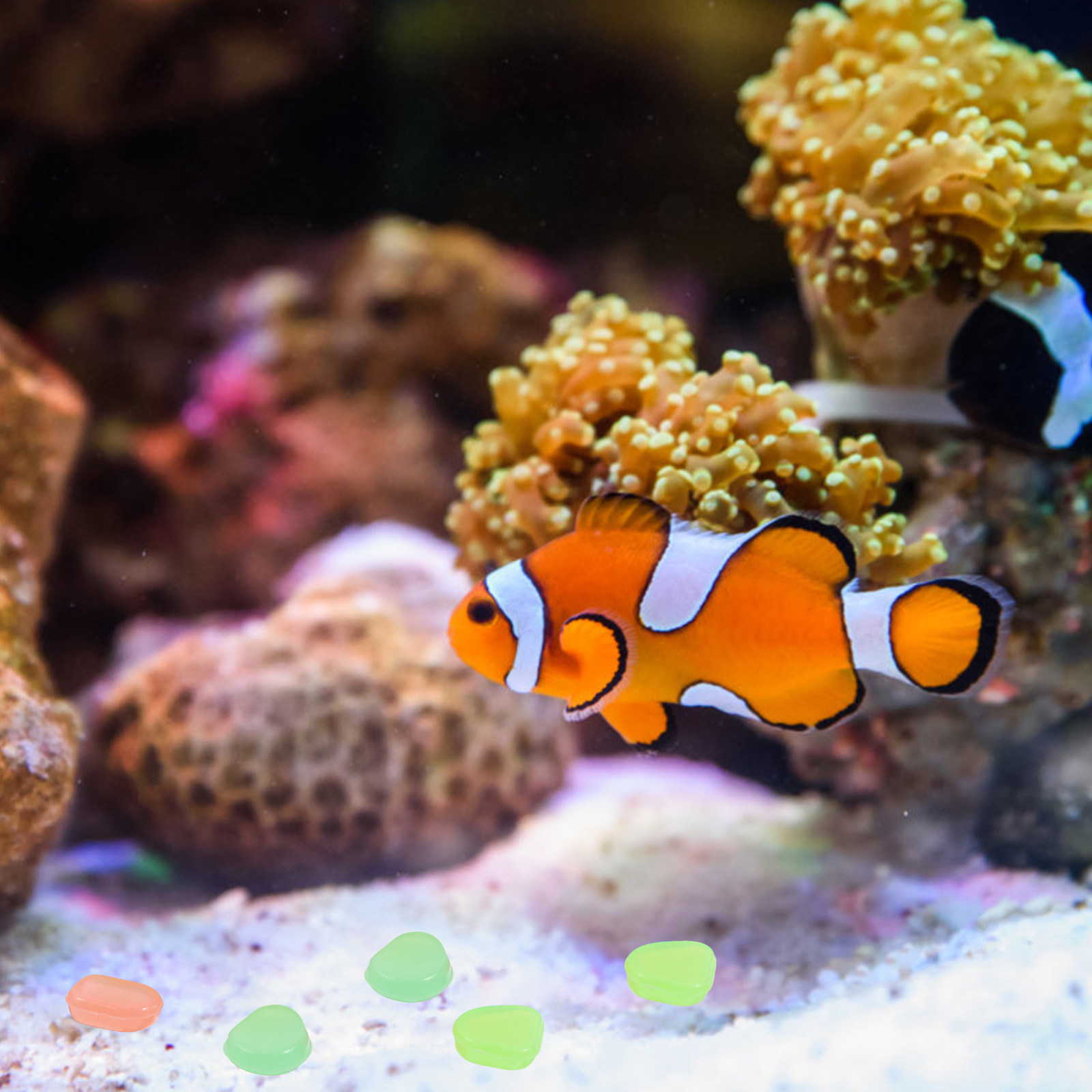 400 Stück Leuchtende Gartenste – Fish Tank Gravel Bewertung und Preis