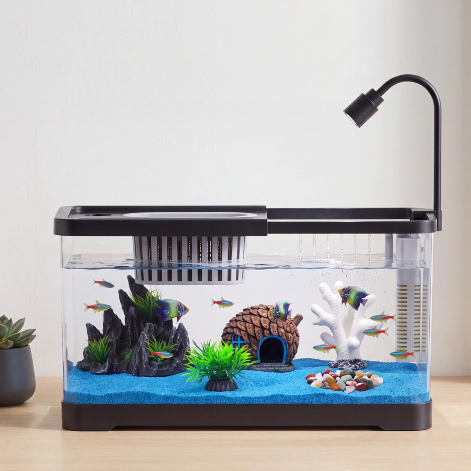 Aquarium-Starter-Set mit Filte – Betta Fish Tank Bewertung und Preis
