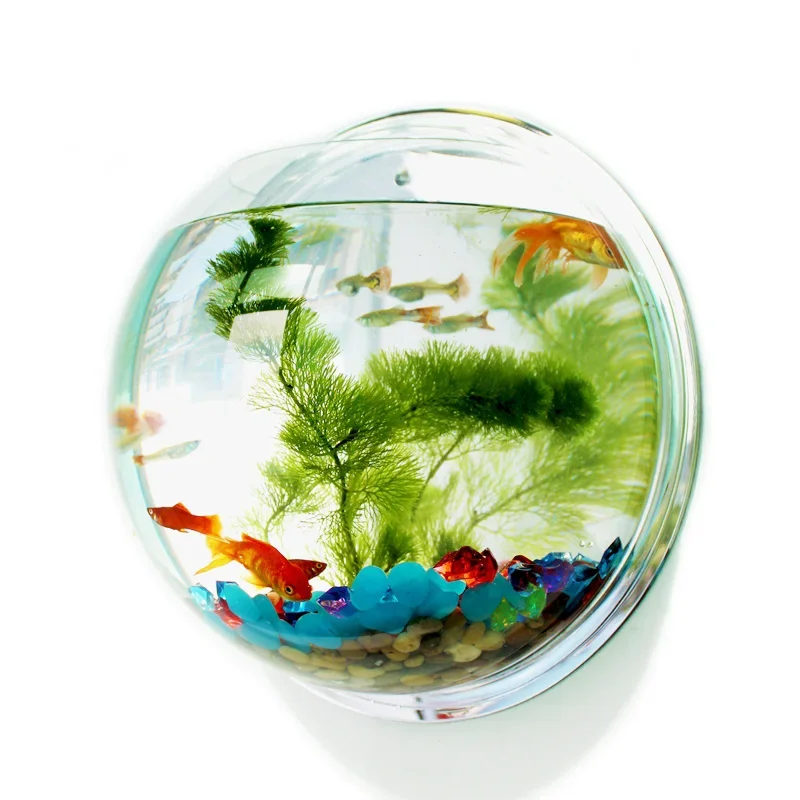 Pinsjar Acryl Fischschale Wand – Betta Fish Tank Bewertung und Preis