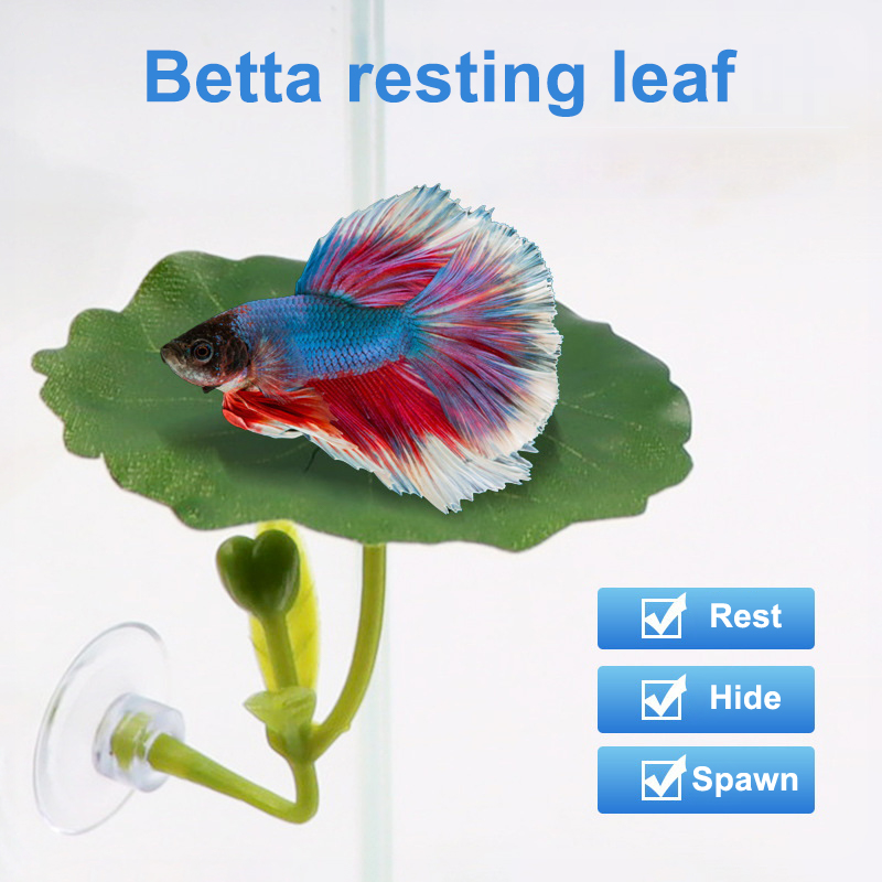 (Ce14)1/5PC Grüne Blatt-Hängem – Betta Fish Tank Bewertung und Preis