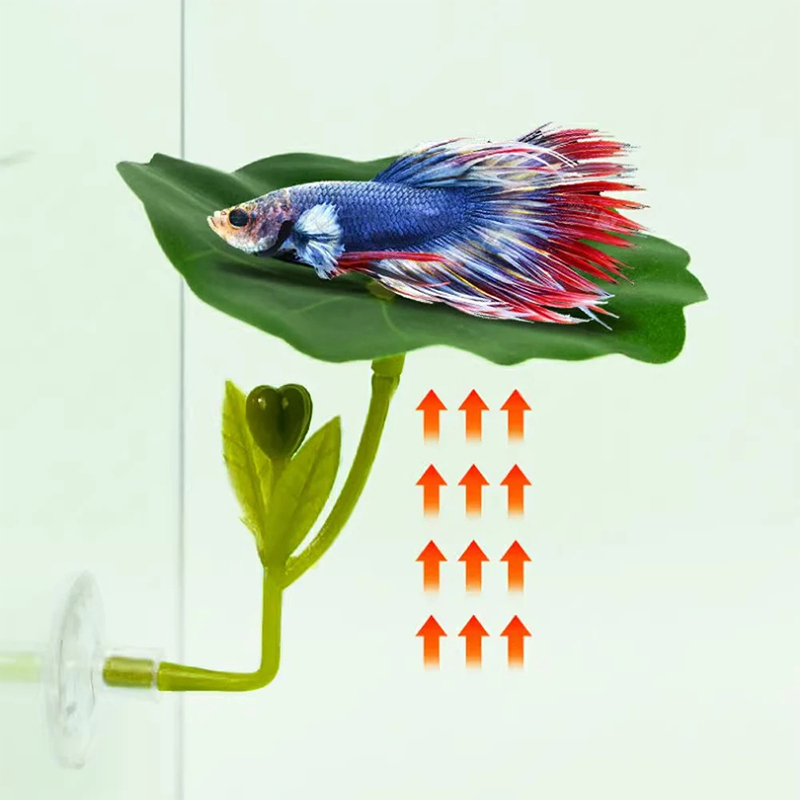 (Ce14)1/5PC Grüne Blatt-Hängem – Betta Fish Tank Bewertung und Preis