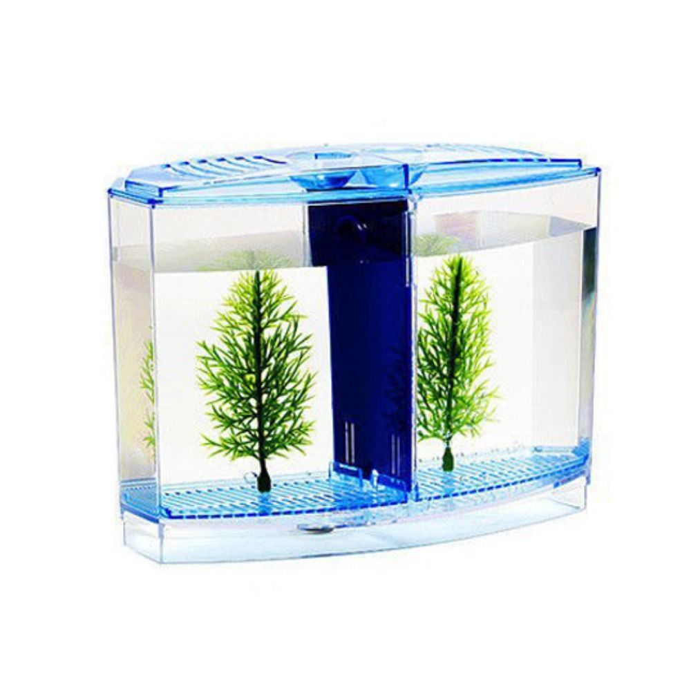 Transparentes Betta-Aquarium,  – Betta Fish Tank Bewertung und Preis