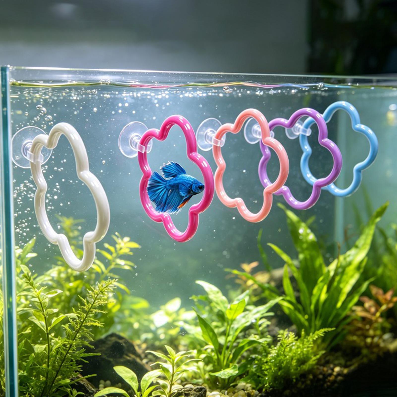 Betta-Fisch-Spielzeug, 5 Stück – Aquarium Fish Betta Bewertung und Preis