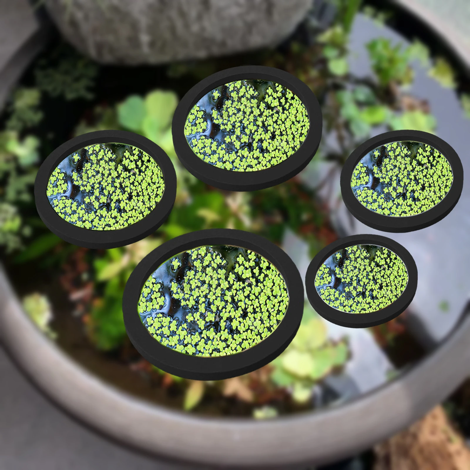 5Pcs EVA Fisch Fütterung Ring  – Aquarium Fish Tank Bewertung und Preis