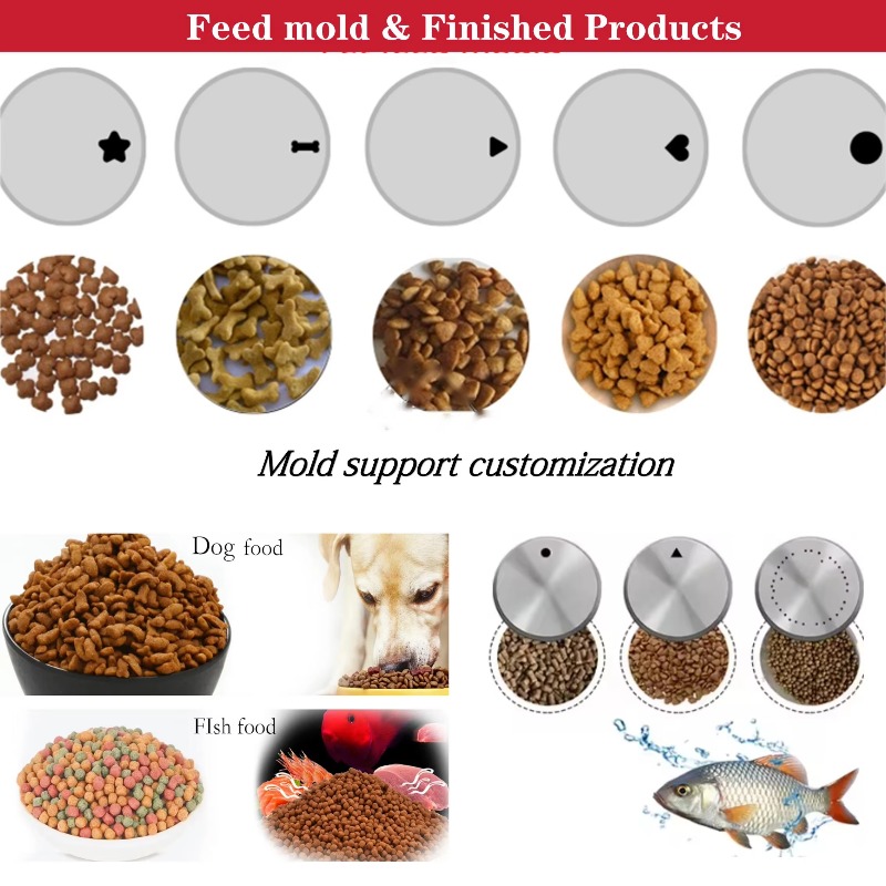 Meistverkaufte Futterherstellu – Fish Food Bewertung und Preis