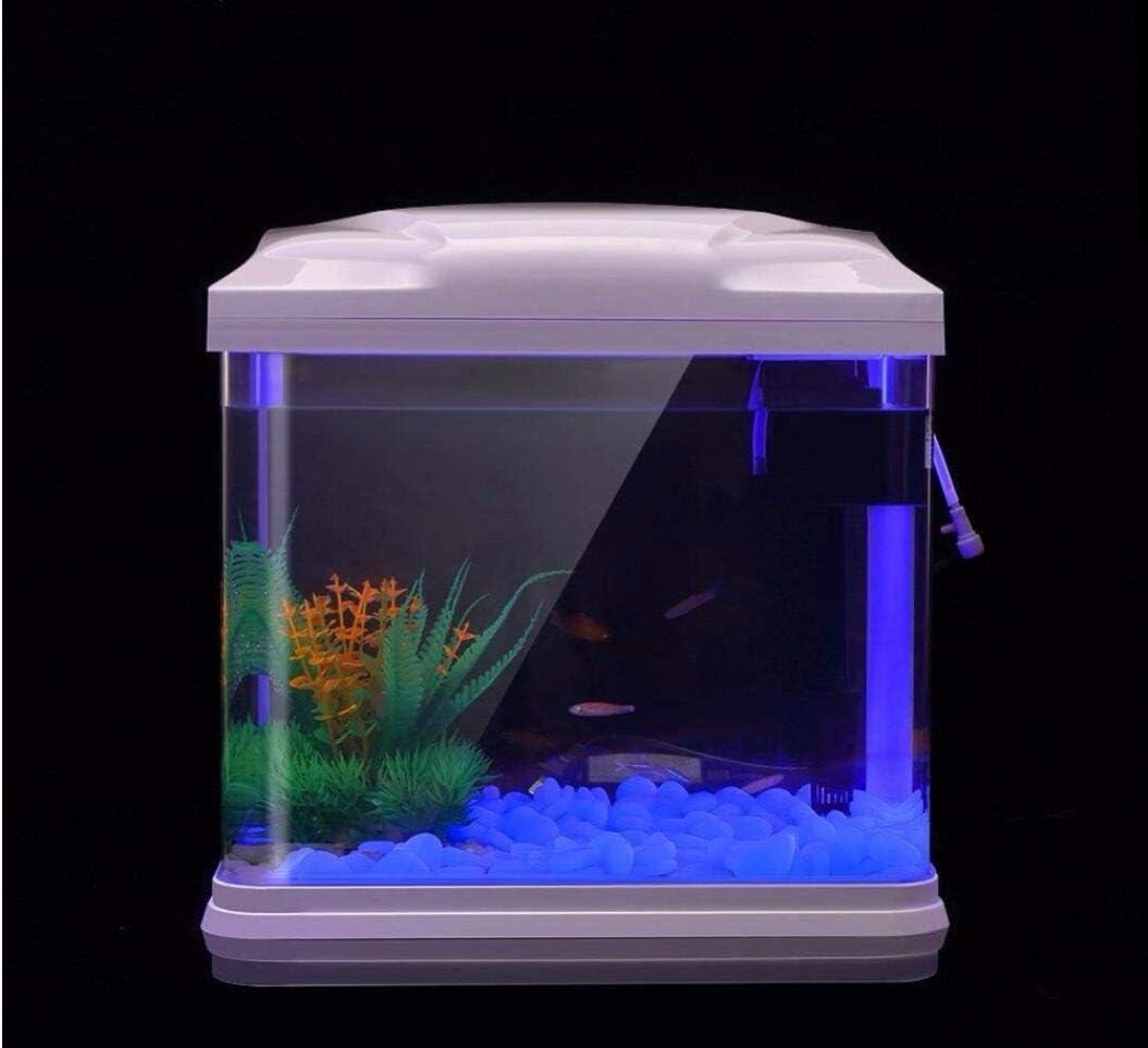 Aquarium-Felsen leuchten blaue – Fish Aquarium Home Bewertung und Preis