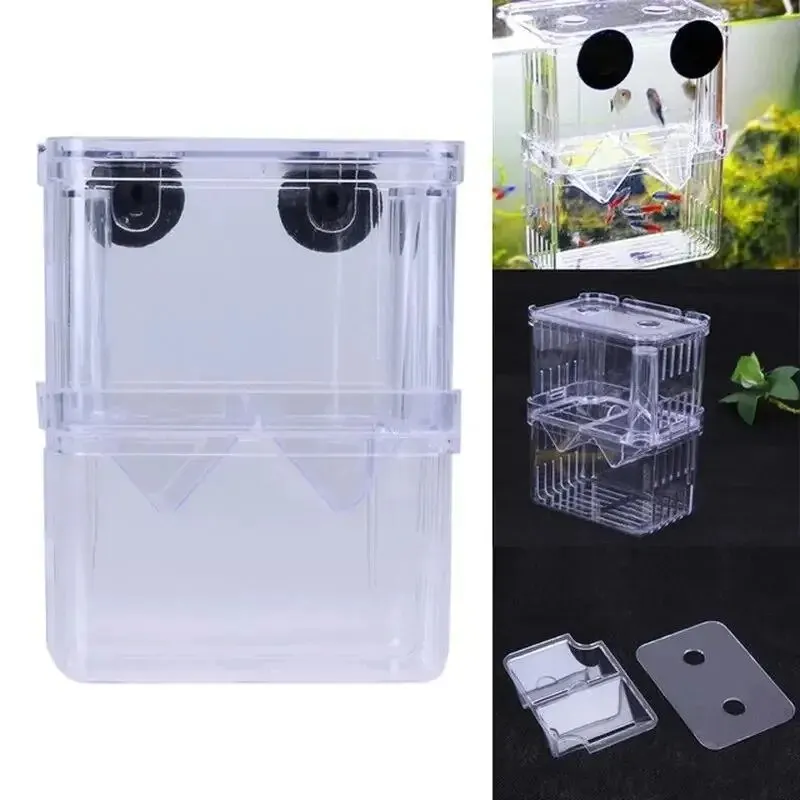 Aquarium Acryl Fisch Zucht Iso – Betta Fish Tank Bewertung und Preis