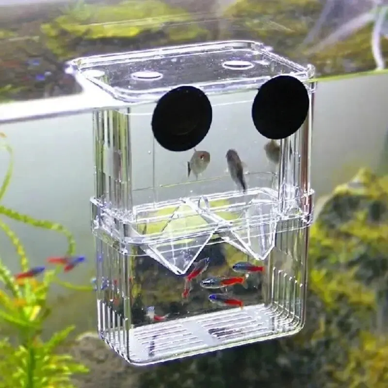 Aquarium Acryl Fisch Zucht Iso – Betta Fish Tank Bewertung und Preis