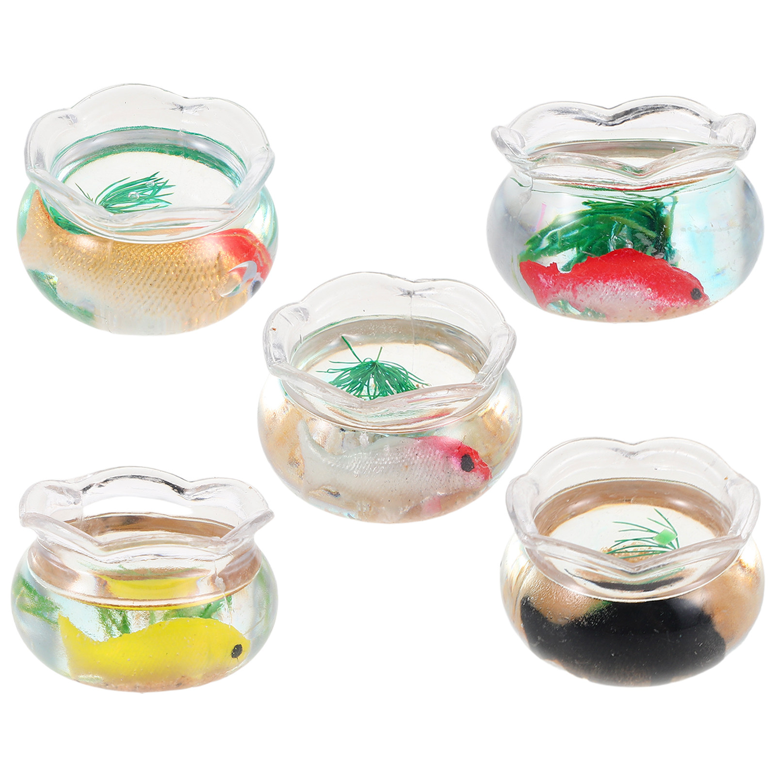 5 Stück Mini-Aquarium mit real – Aquarium Plants Bewertung und Preis