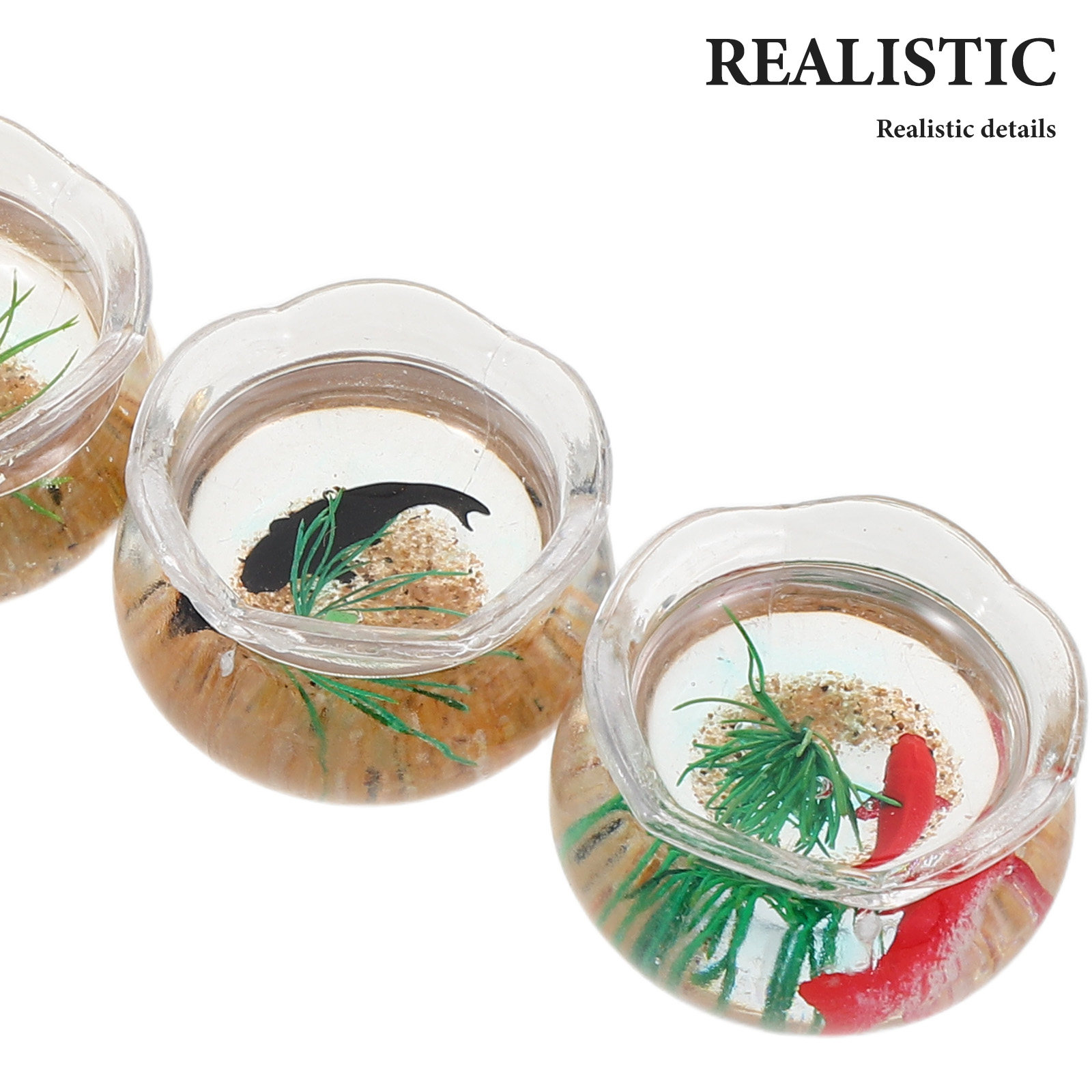 5 Stück Mini-Aquarium mit real – Aquarium Plants Bewertung und Preis