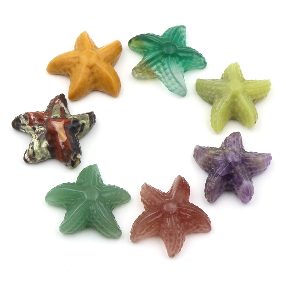 35mm Seestern Form Statue Mari – Aquarium Decor Bewertung und Preis