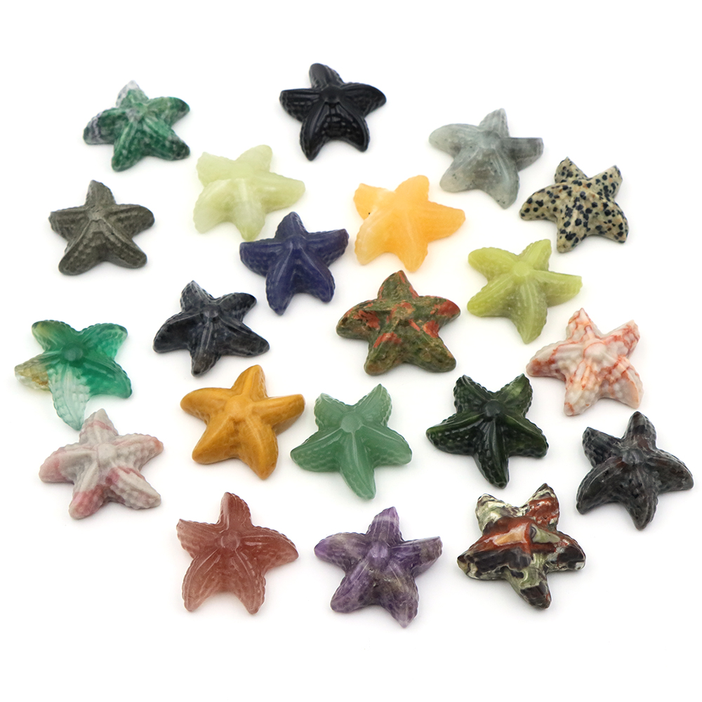 35mm Seestern Form Statue Mari – Aquarium Decor Bewertung und Preis