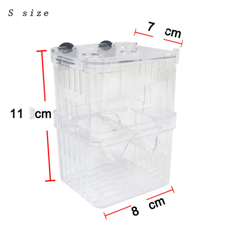 Pfau Fisch Zucht Isolation Box – Betta Fish Tank Bewertung und Preis