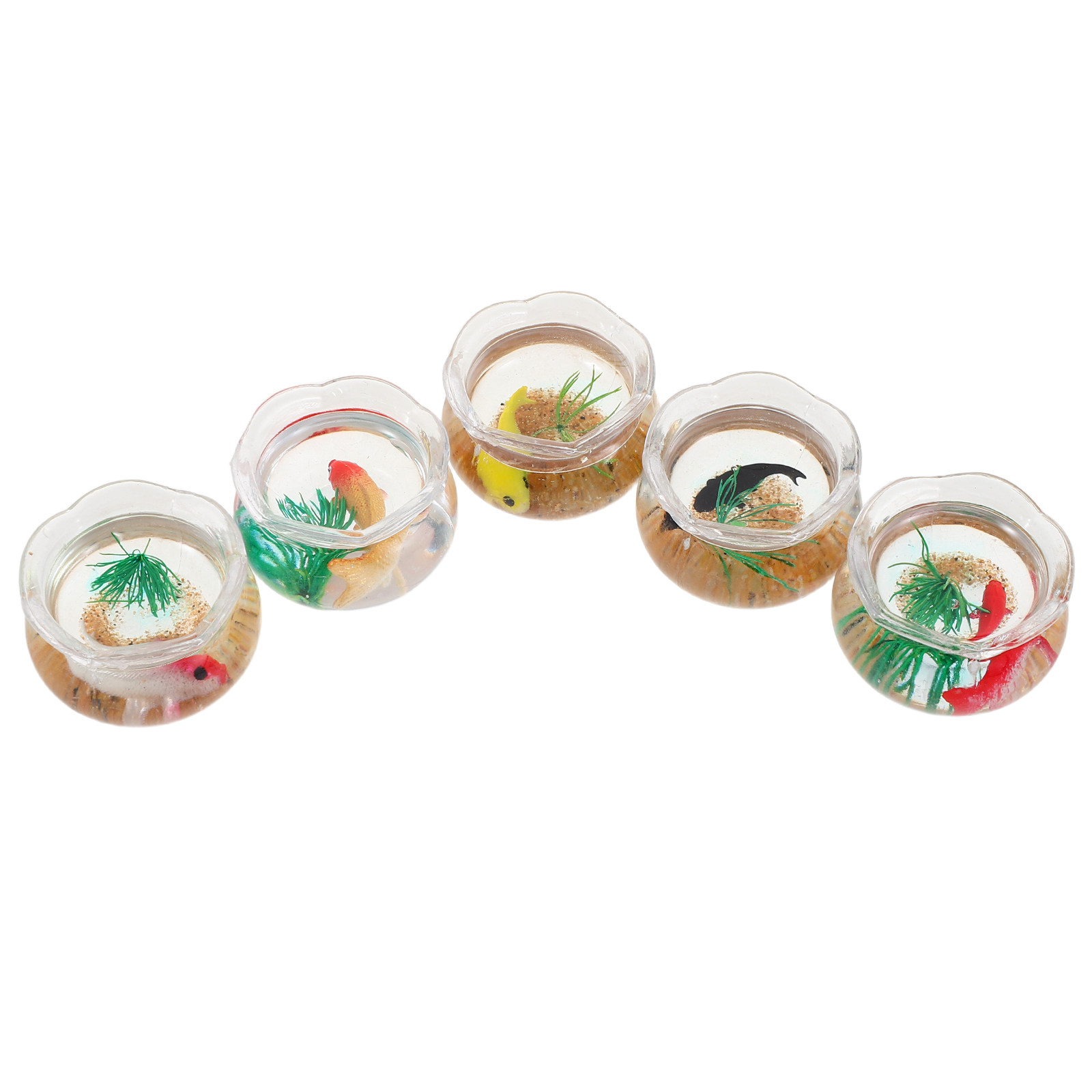 5 Stück Mini-Fischbecken, real – Aquarium Plants Bewertung und Preis
